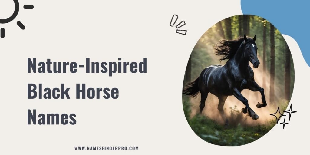 Nature-Inspired Black Horse Names