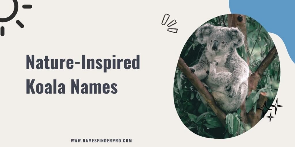 Nature-Inspired Koala Names