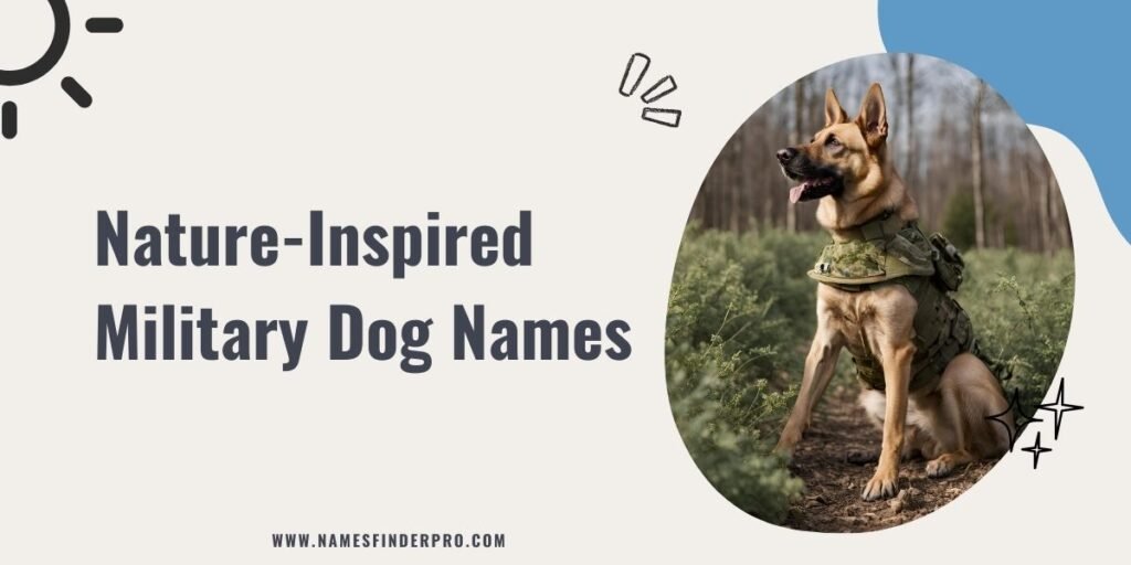 Nature-Inspired Military Dog Names