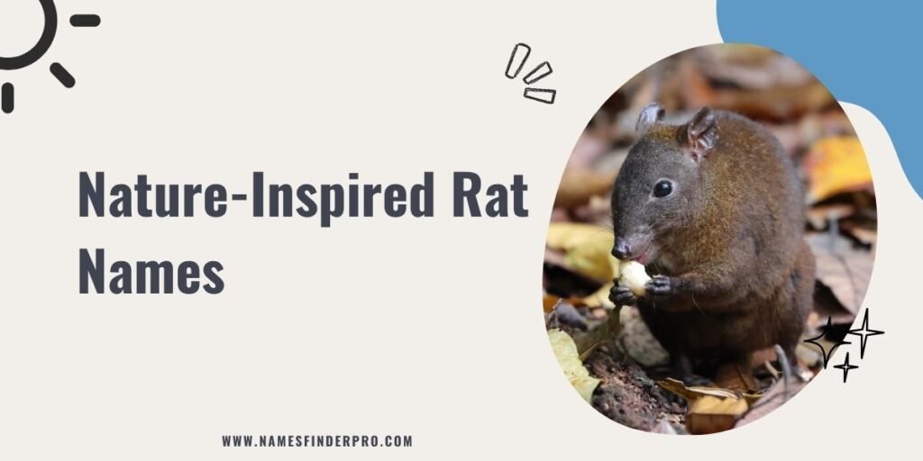 Nature-Inspired Rat Names