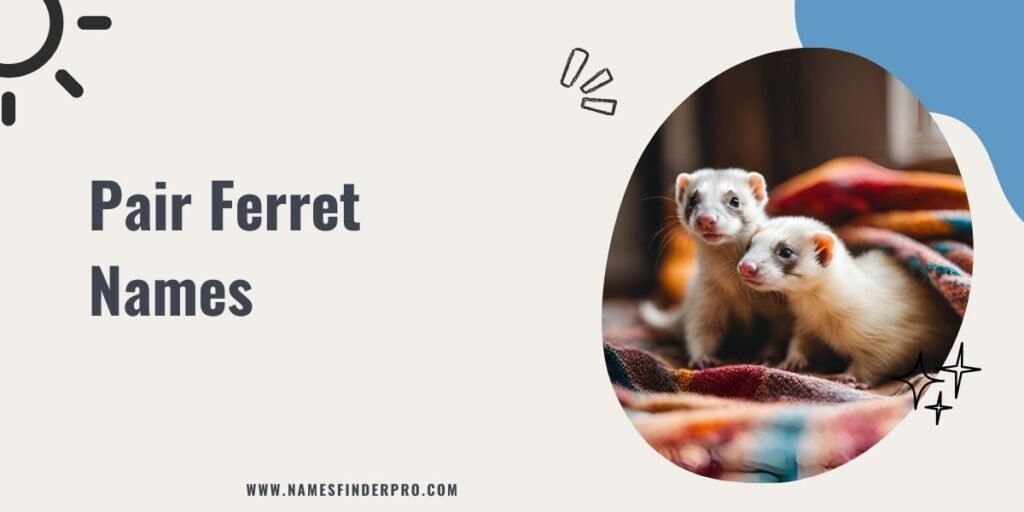 Pair Ferret Names