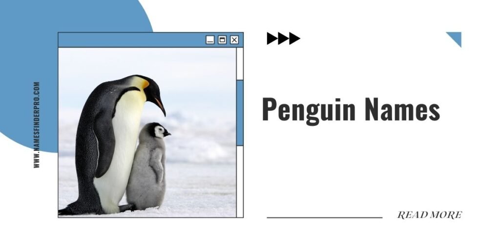 Penguin Names