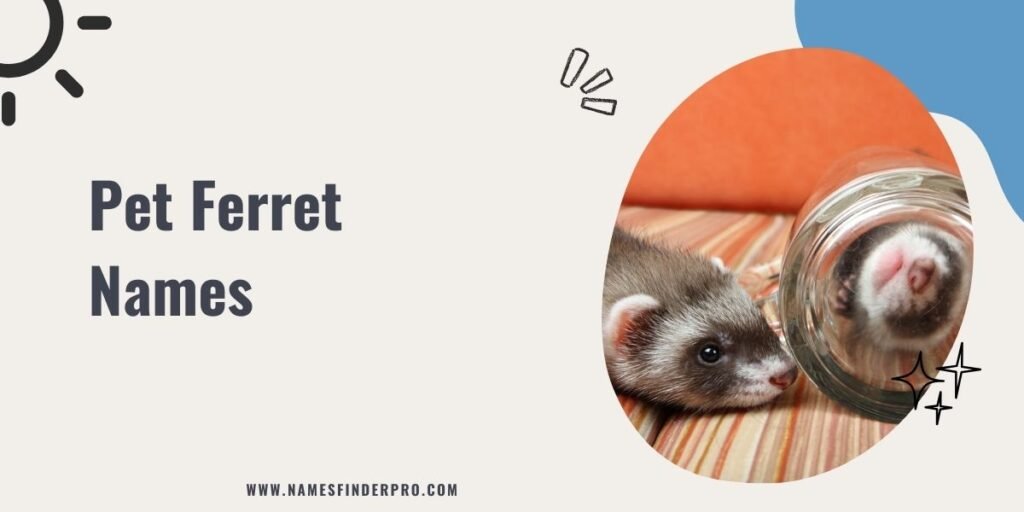 Pet Ferret Names