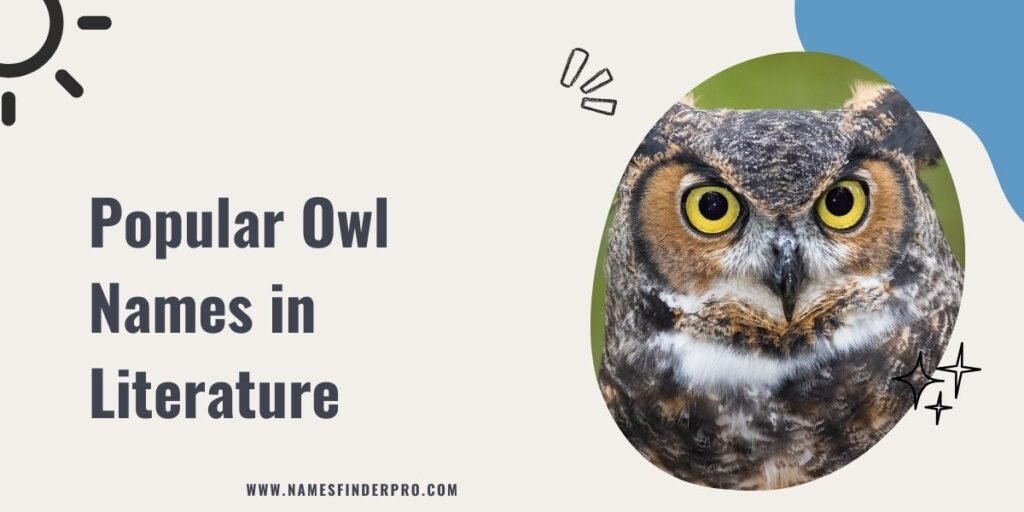 Popular Owl Names in Literature