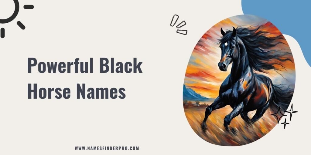 Powerful Black Horse Names