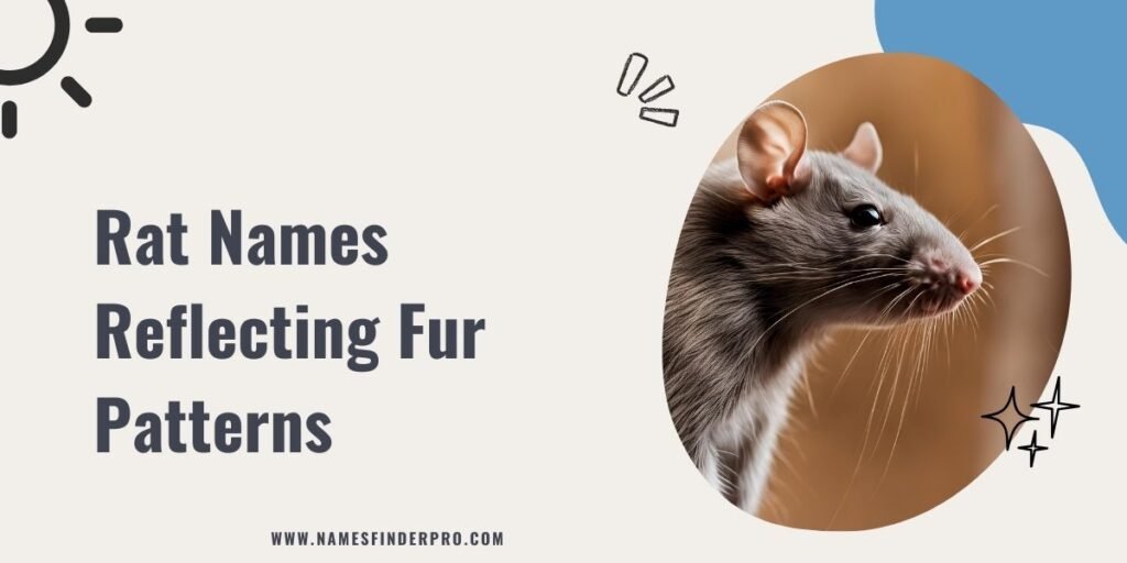 Rat Names Reflecting Fur Patterns