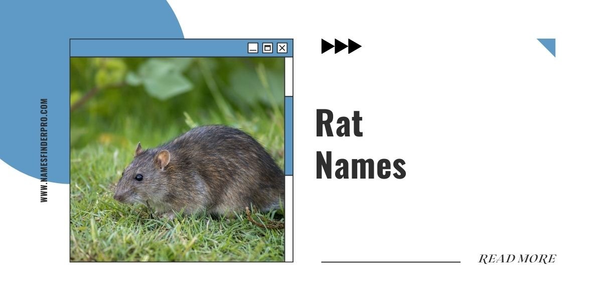 Rat Names