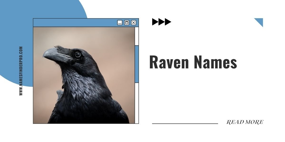 Raven Names