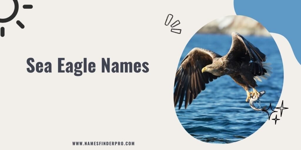 Sea Eagle Names