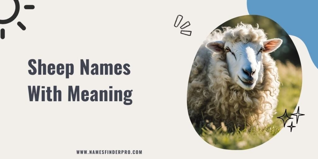 Sheep Names With Meaning