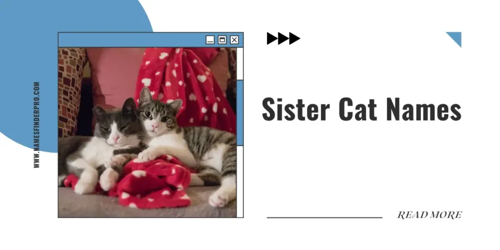 Sister Cat Names