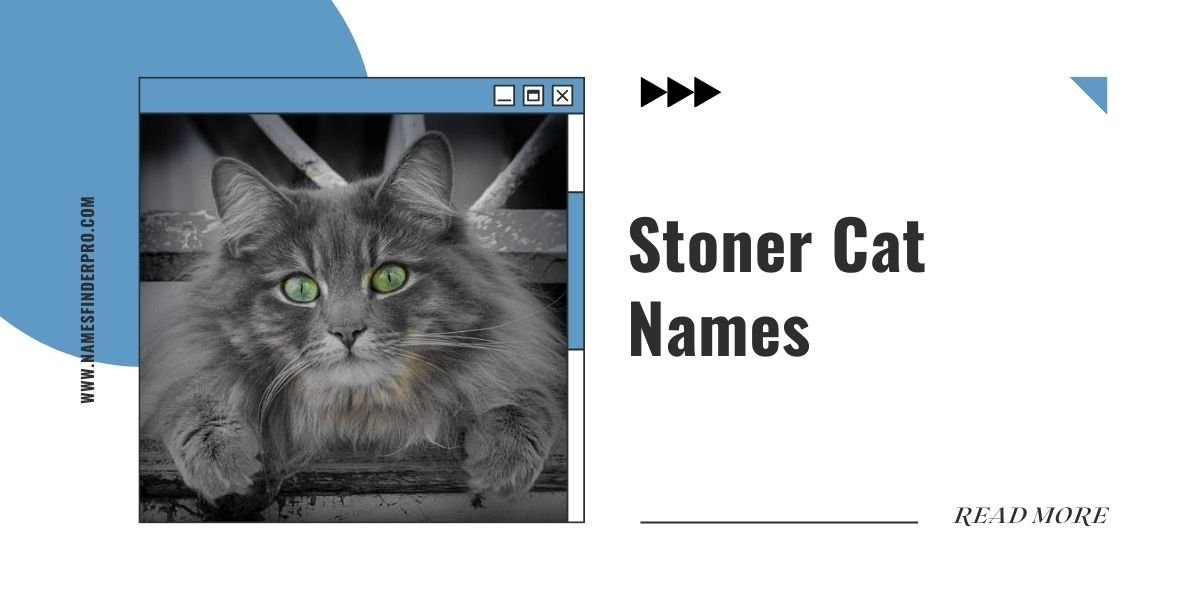 Stoner Cat Names