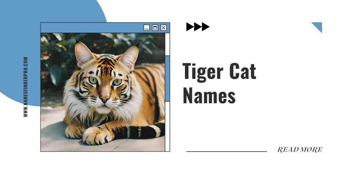 Tiger Cat Names