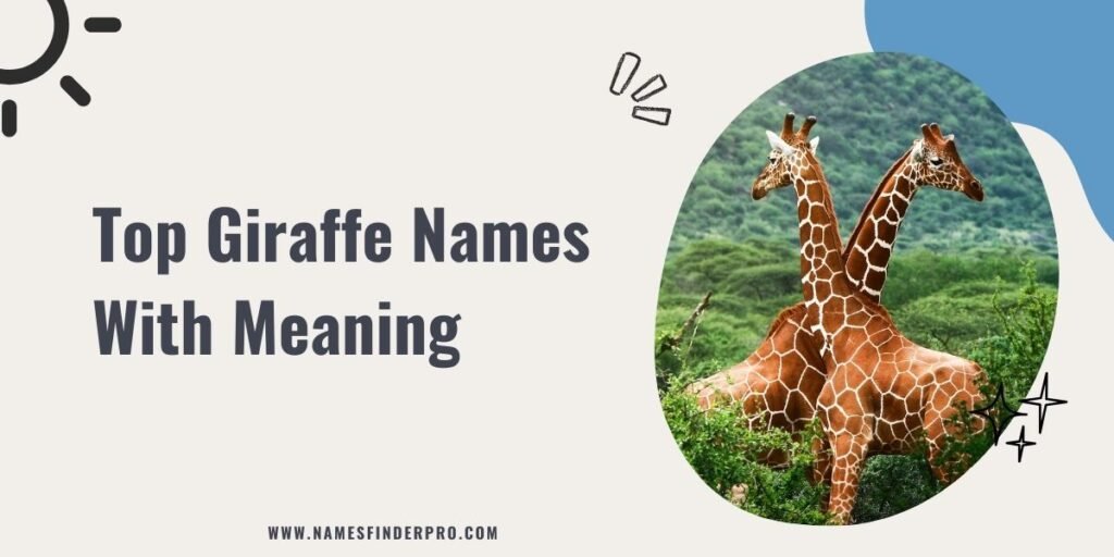 Top Giraffe Names With Meaning