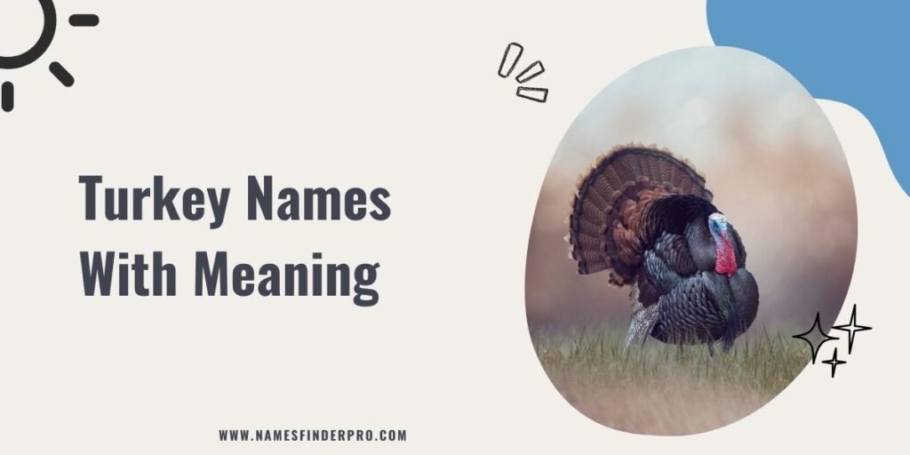 Turkey Names With Meaning 