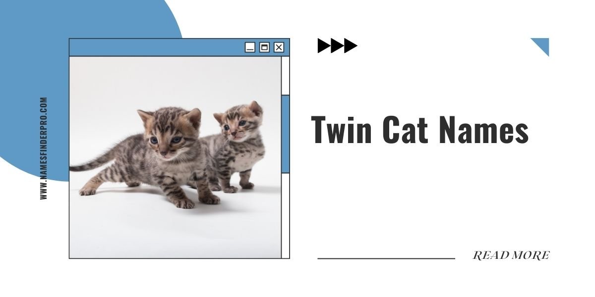 Twin Cat Names