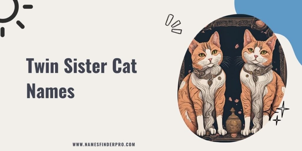 Twin Sister Cat Names