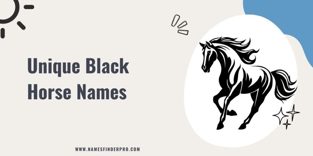 Unique Black Horse Names