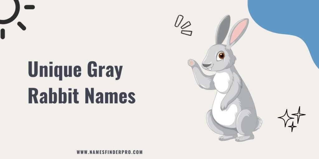 Unique Gray Rabbit Names