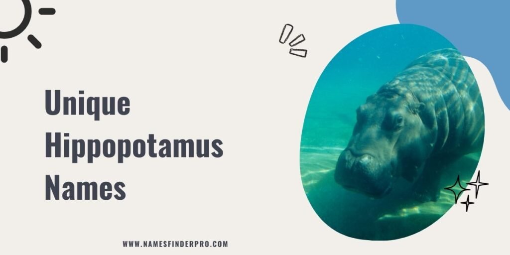 Unique Hippopotamus Names