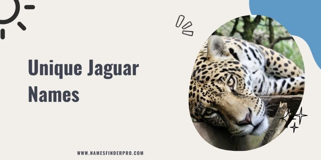 Unique Jaguar Names