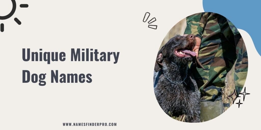 Unique Military Dog Names