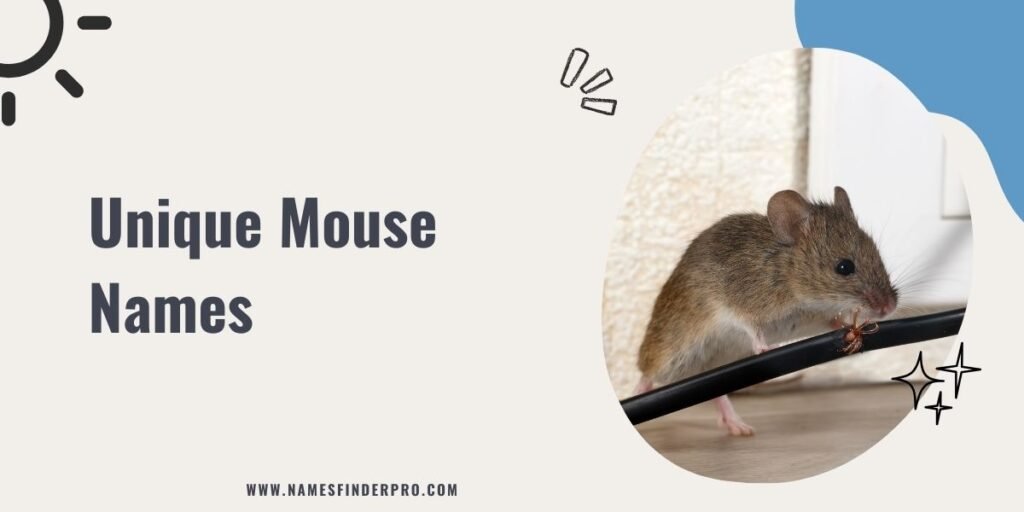 Unique Mouse Names