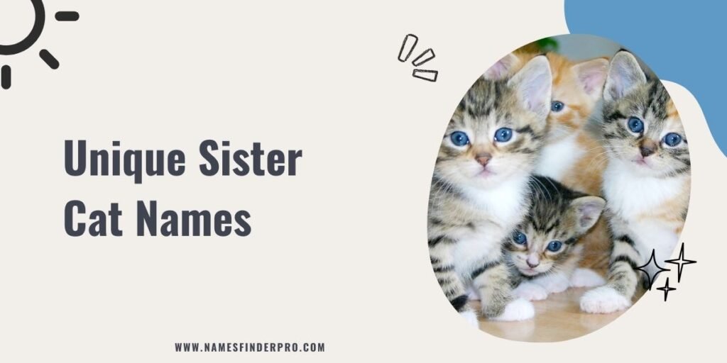 Unique Sister Cat Names