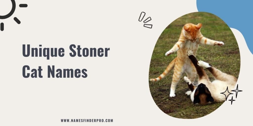 Unique Stoner Cat Names