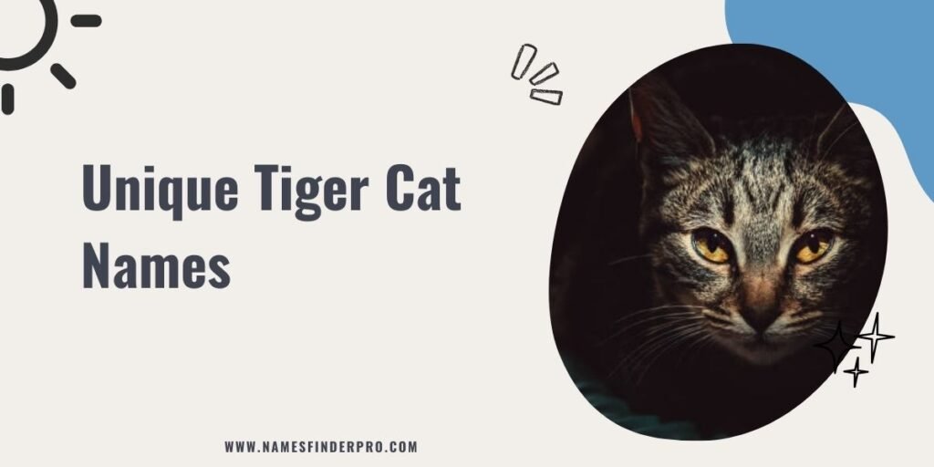 Unique Tiger Cat Names