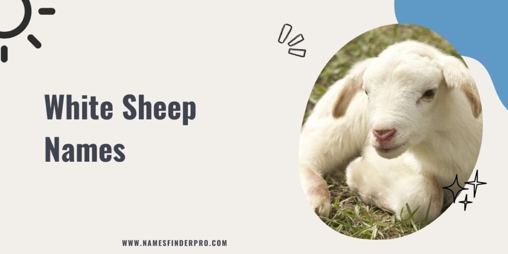 White Sheep Names