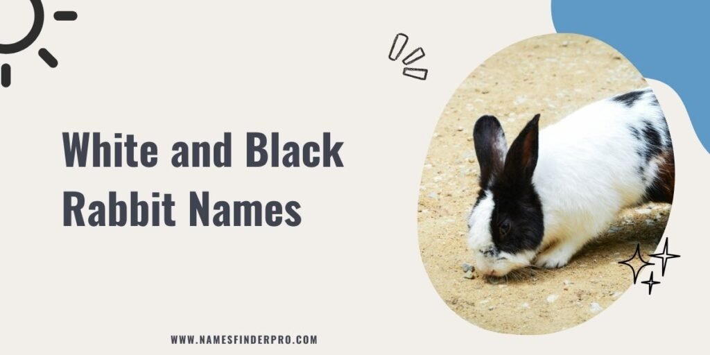 White and Black Rabbit Names