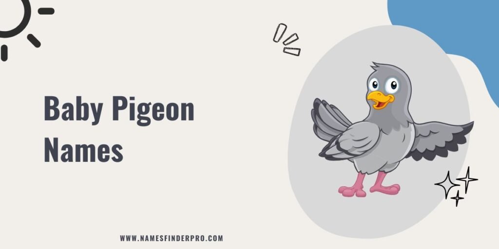 Baby Pigeon Names