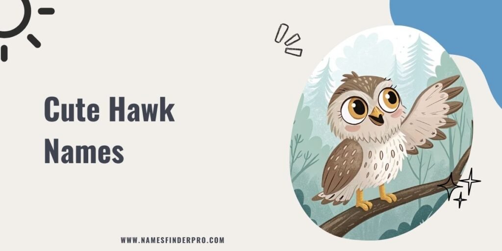 Cute Hawk Names