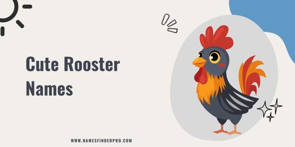 Cute Rooster Names 