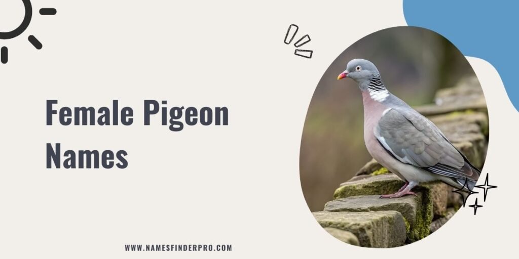 Female Pigeon Names