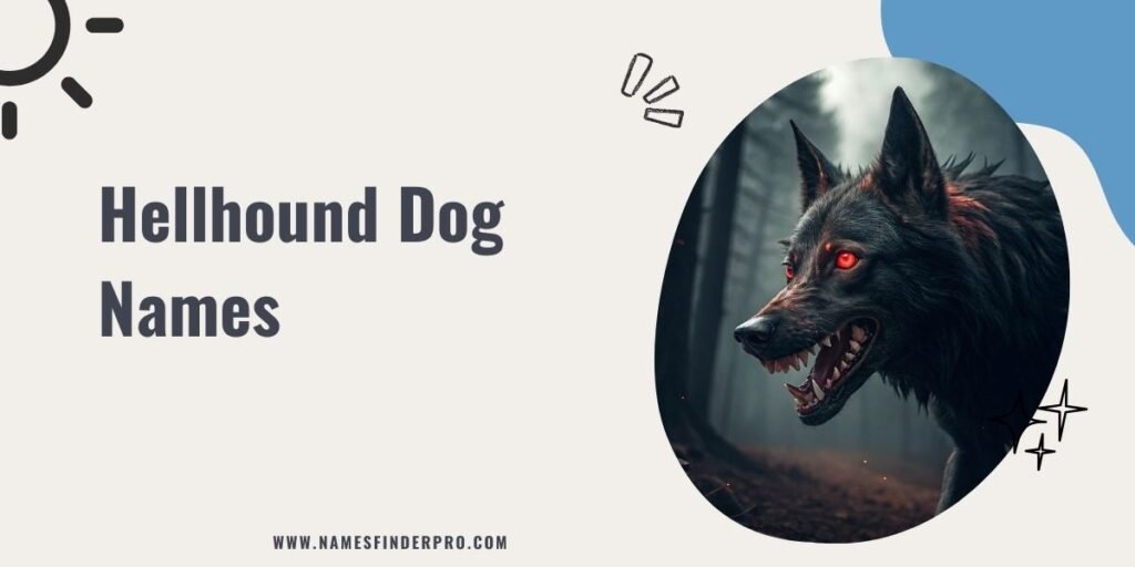 Hellhound Dog Names