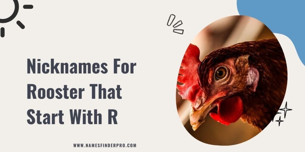 Nicknames For Rooster That Start With R