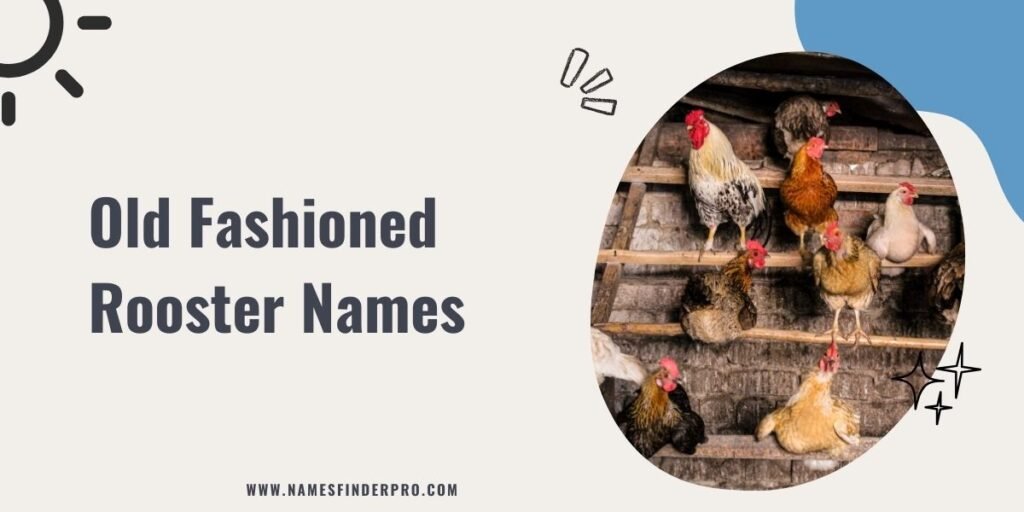 Old Fashioned Rooster Names