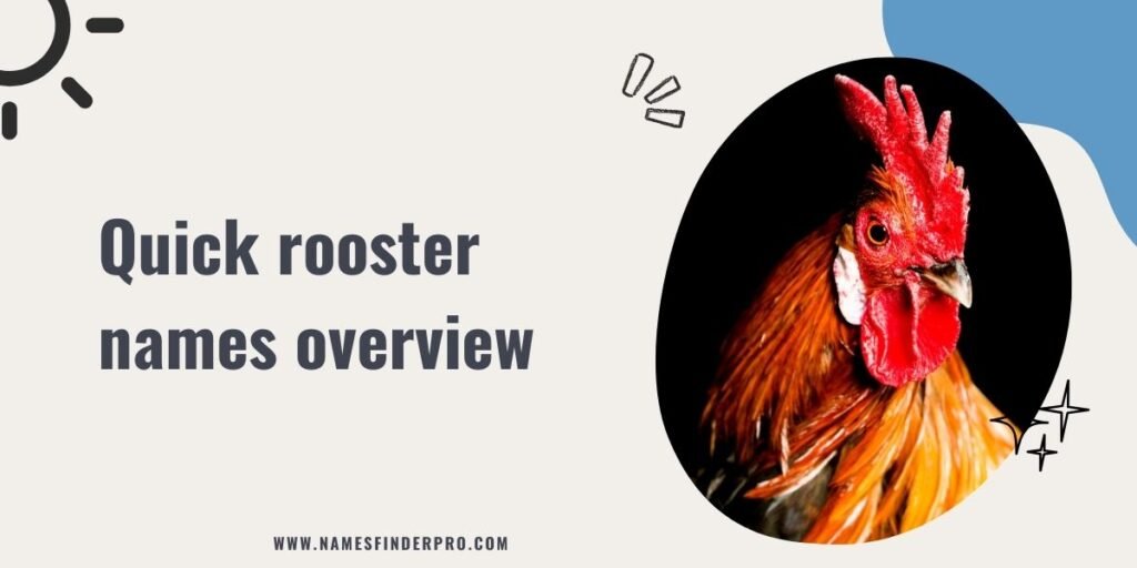 Quick rooster names overview