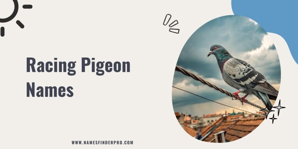 Racing Pigeon Names