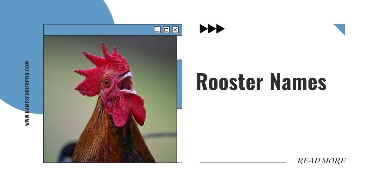 Rooster Names