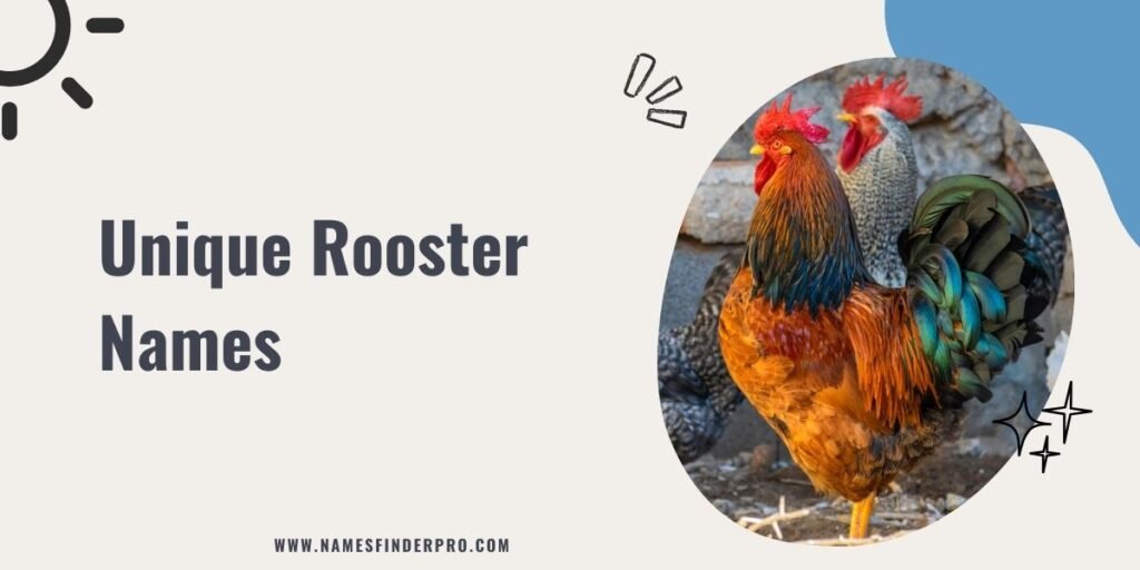 Unique Rooster Names