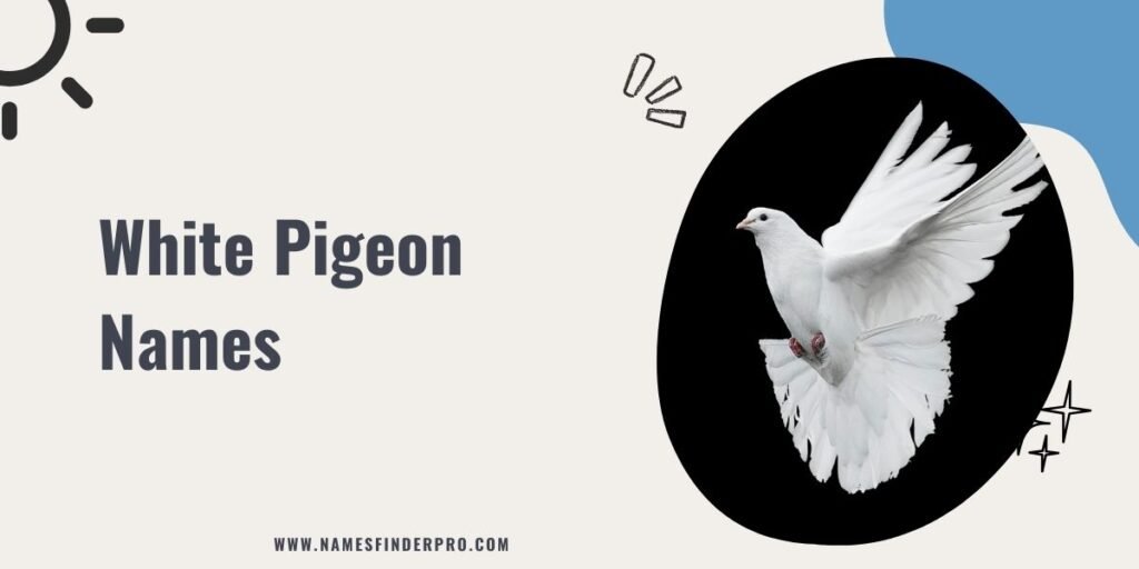 White Pigeon Names